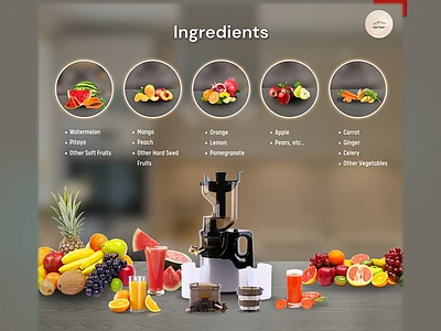 Image of Gen Power Slow Juicer - 2